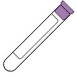 BD-Vacutainer, Lavender 3.0mL Plastic-MedTech-1